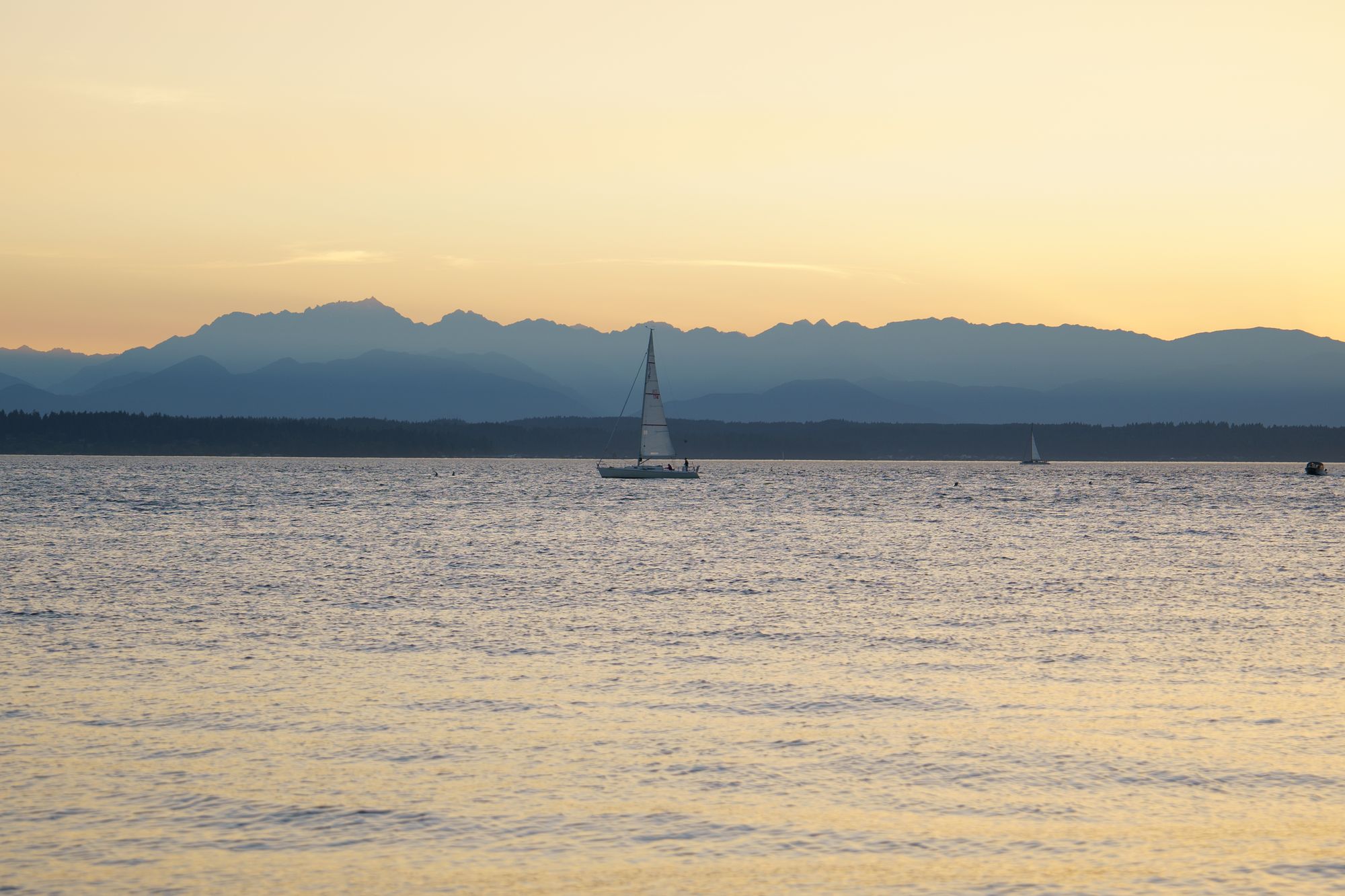 Sailboat at dusk on Puget Sound, Golden Gardens