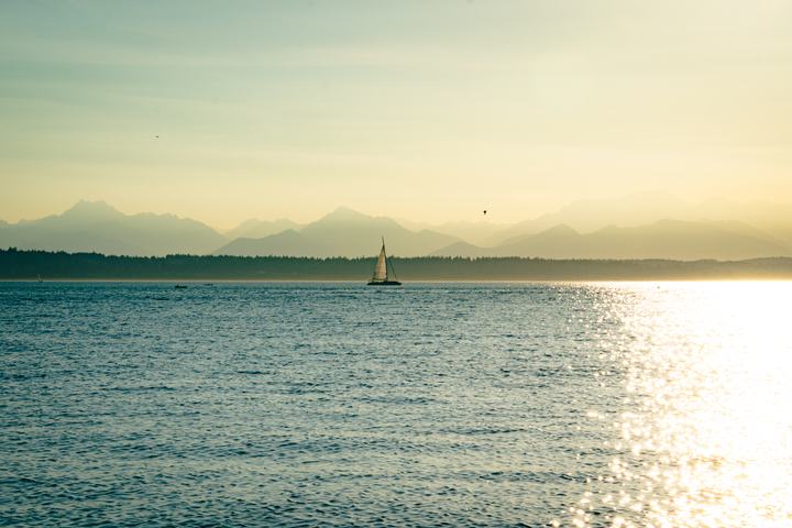Golden Gardens — landscape photograph by Akhila Sankar