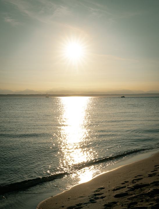 Golden Gardens — landscape photograph by Akhila Sankar