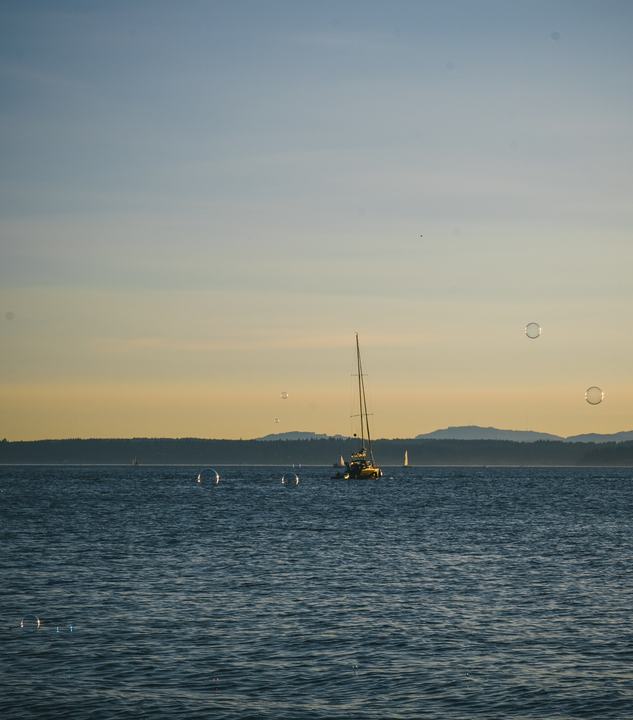 Golden Gardens — landscape photograph by Akhila Sankar