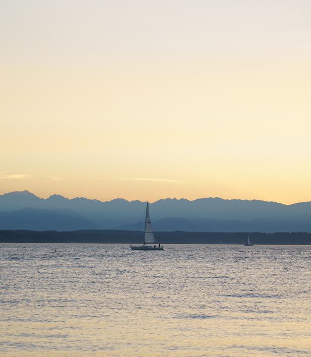 Golden Gardens — landscape photograph by Akhila Sankar