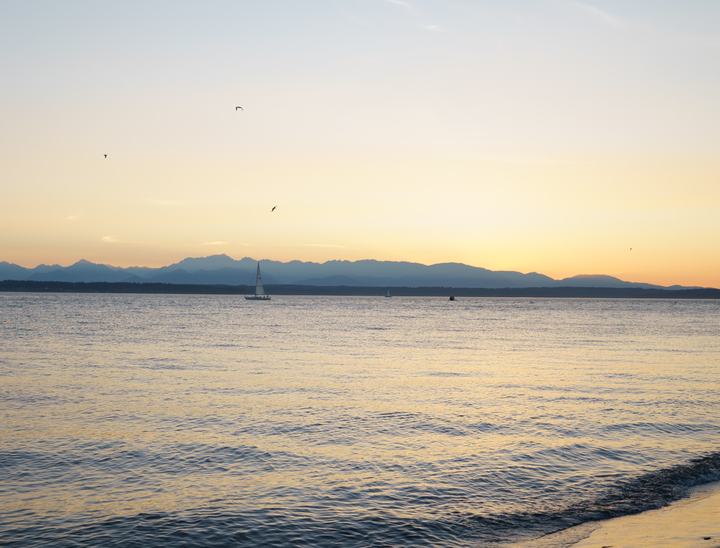 Golden Gardens — landscape photograph by Akhila Sankar