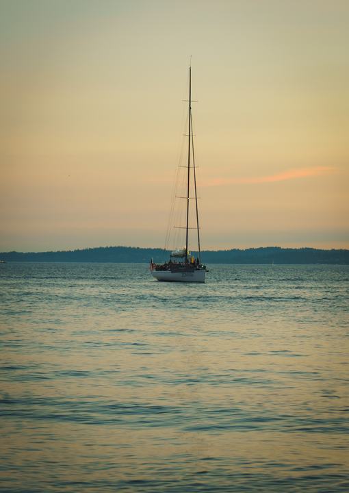 Golden Gardens — landscape photograph by Akhila Sankar
