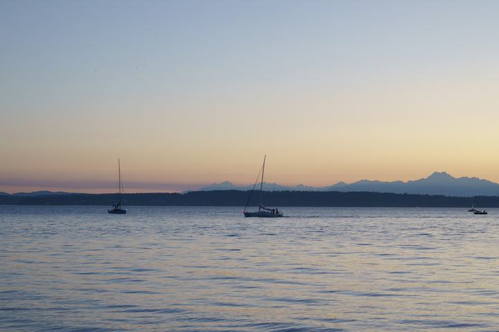 Golden Gardens — landscape photograph by Akhila Sankar