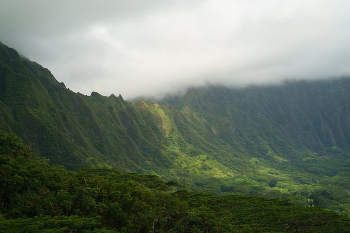 Koʻolau in the Mist