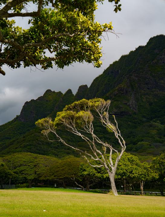 Hawaiʻi — landscape photograph by Akhila Sankar