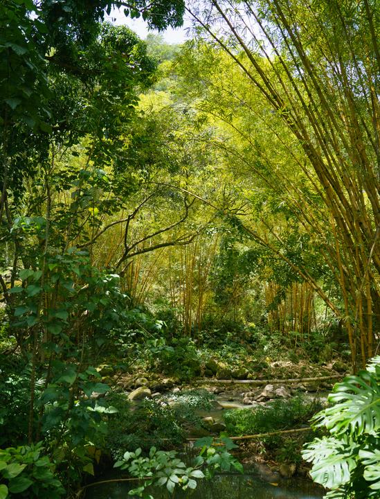 Hawaiʻi — landscape photograph by Akhila Sankar