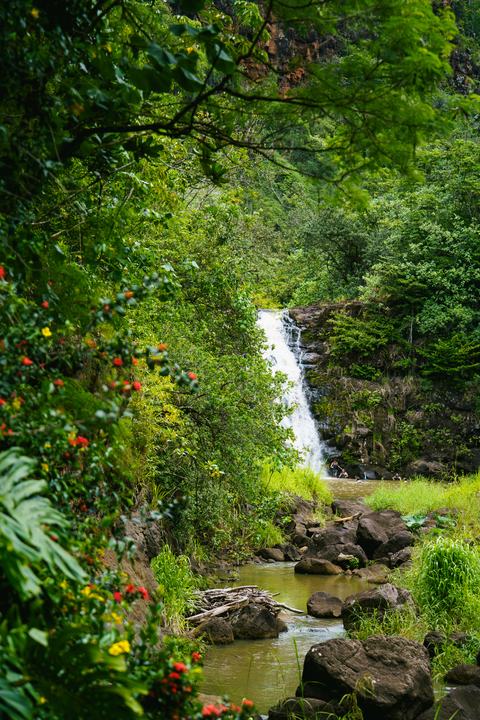 Hawaiʻi — landscape photograph by Akhila Sankar