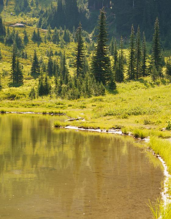 Mount Rainier — landscape photograph by Akhila Sankar