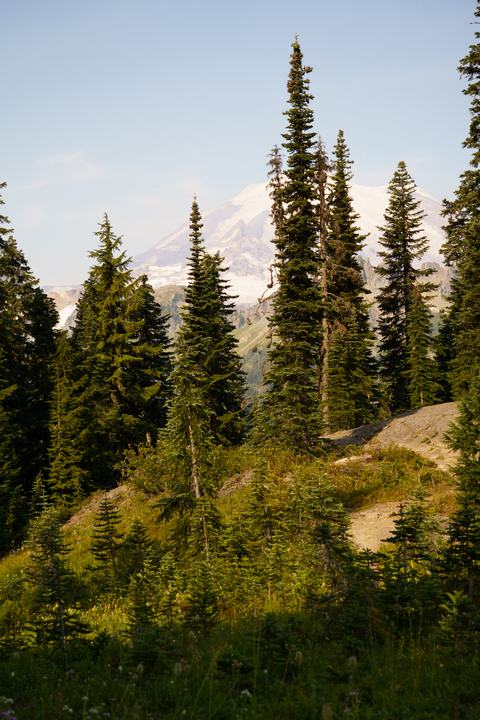 Mount Rainier — landscape photograph by Akhila Sankar