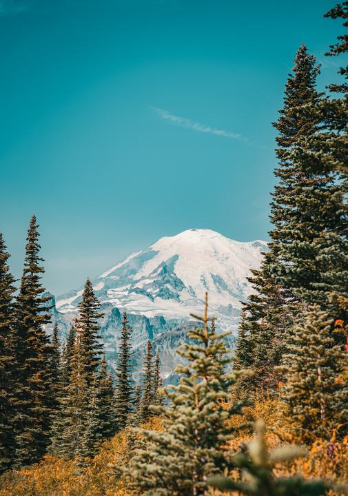 Mount Rainier — landscape photograph by Akhila Sankar