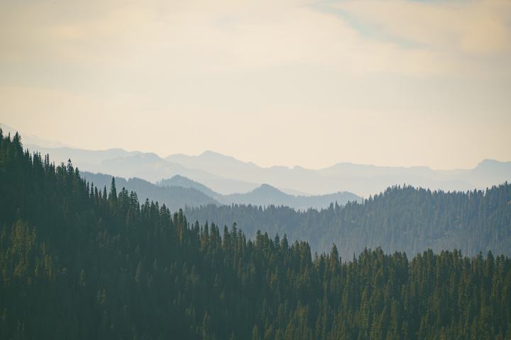 Mount Rainier — landscape photograph by Akhila Sankar