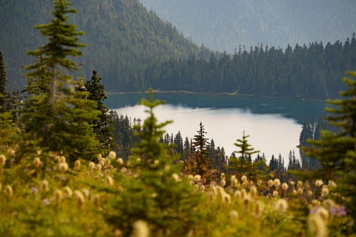 Mount Rainier — landscape photograph by Akhila Sankar