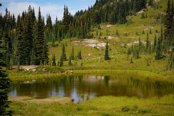 Mount Rainier — landscape photograph by Akhila Sankar