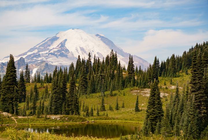 Tahoma Above the Meadows