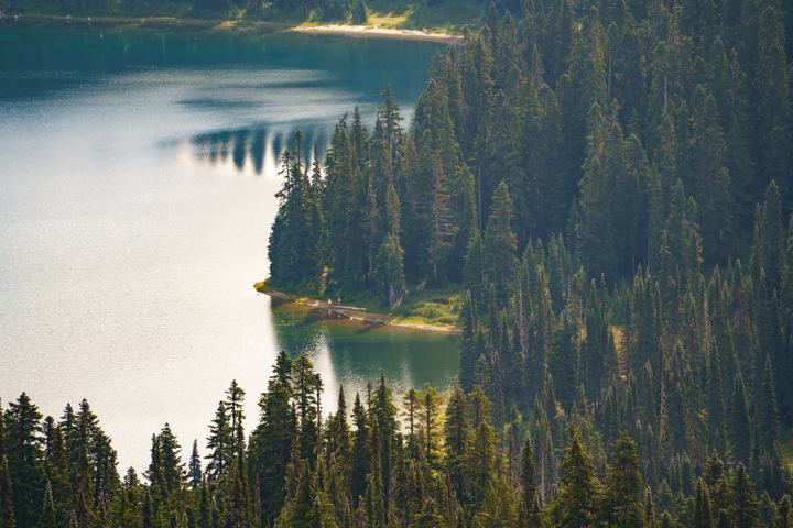 Mount Rainier — landscape photograph by Akhila Sankar