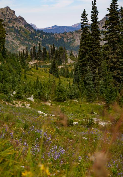 Mount Rainier — landscape photograph by Akhila Sankar
