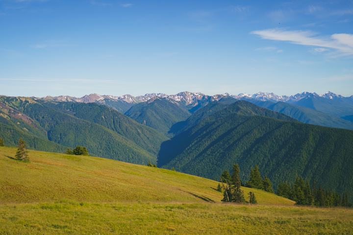 Olympic — landscape photograph by Akhila Sankar