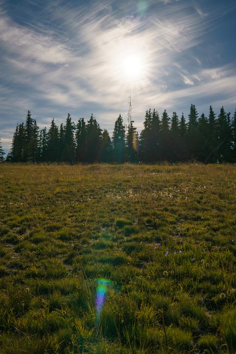 Olympic — landscape photograph by Akhila Sankar