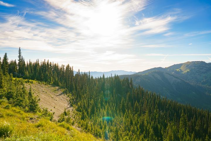 Olympic — landscape photograph by Akhila Sankar