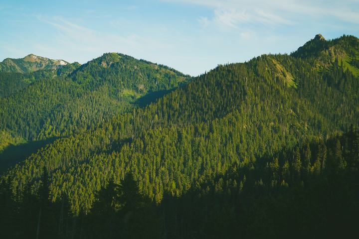 Olympic — landscape photograph by Akhila Sankar