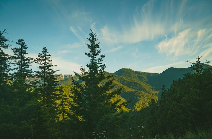 Olympic — landscape photograph by Akhila Sankar