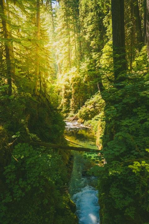 Olympic — landscape photograph by Akhila Sankar
