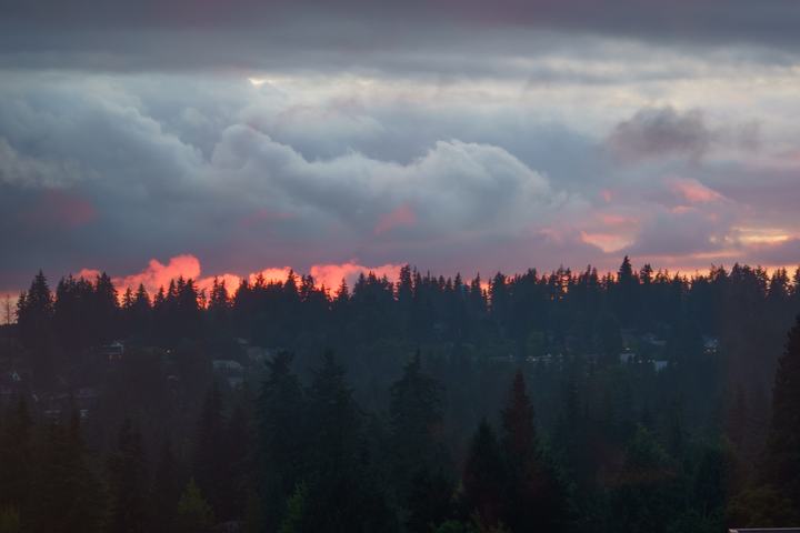 Oregon — landscape photograph by Akhila Sankar