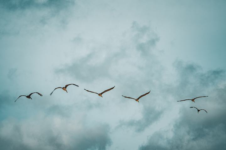 Oregon — landscape photograph by Akhila Sankar