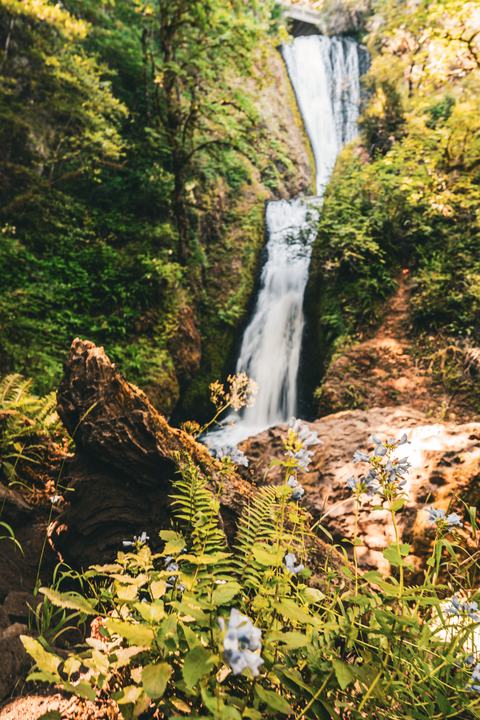 Oregon — landscape photograph by Akhila Sankar