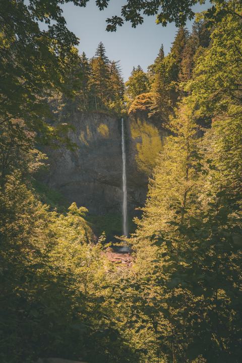 Oregon — landscape photograph by Akhila Sankar