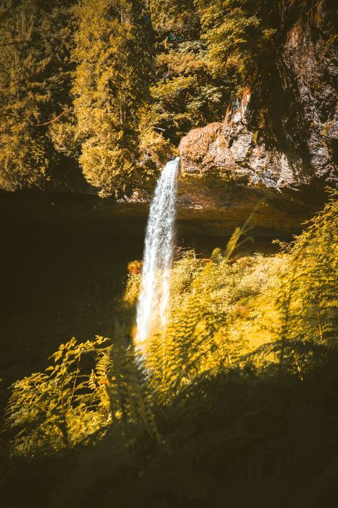 Oregon — landscape photograph by Akhila Sankar