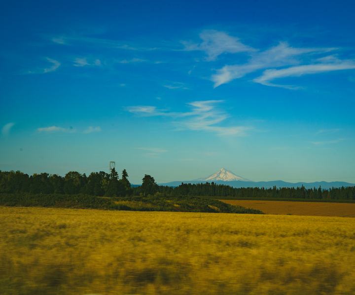 Oregon — landscape photograph by Akhila Sankar